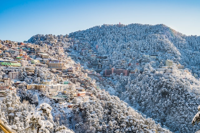 shimla